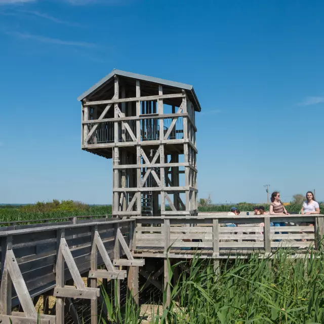 2023 Observatoire Kawamata Oeuvre Du Parcours Estuaire Nantes Saint Nazairepuk 23