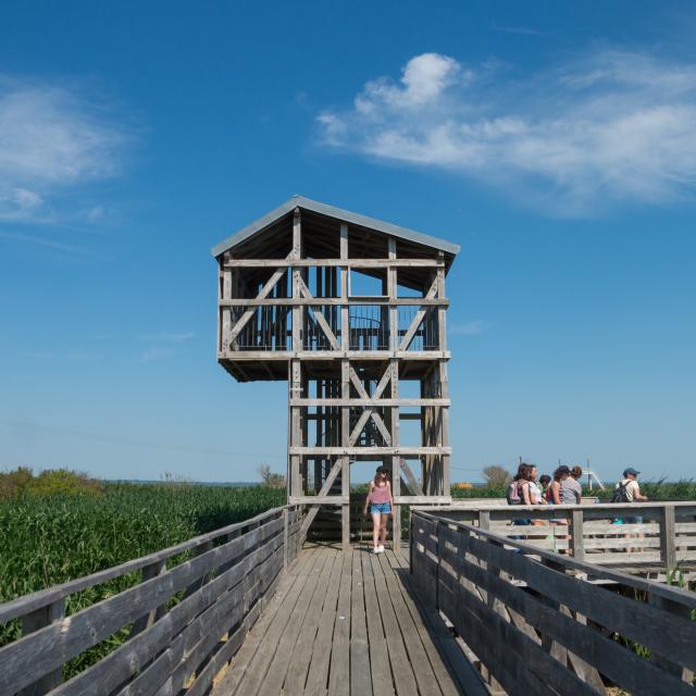 2023 Observatoire Kawamata Oeuvre Du Parcours Estuaire Nantes Saint Nazairepuk 9