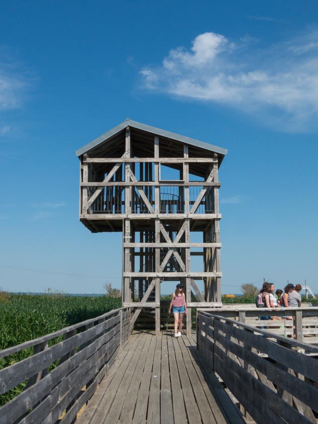 2023 Observatoire Kawamata Oeuvre Du Parcours Estuaire Nantes Saint Nazairepuk 9