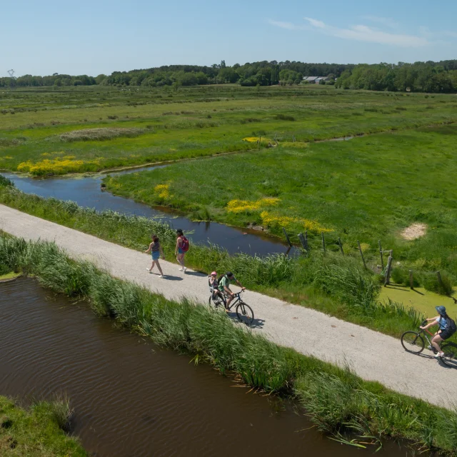 2023 Nid Observatoire Blanc Marais De Loirepuk 52