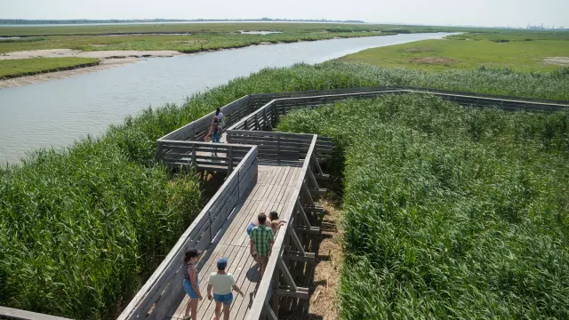 2023 Observatoire Kawamata Oeuvre Du Parcours Estuaire Nantes Saint Nazairepuk 25