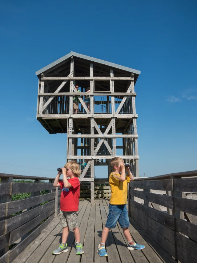 2023 Observatoire Kawamata Oeuvre Du Parcours Estuaire Nantes Saint Nazairepuk 39