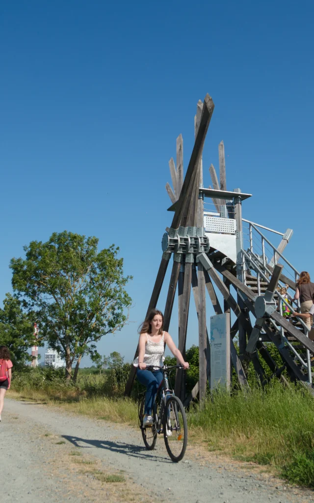 2023 Semaphore De Langle Oeuvre De Vincent Maugerpuk 16