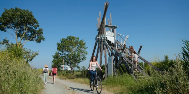 2023 Semaphore De Langle Oeuvre De Vincent Maugerpuk 16