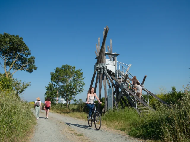 2023 Semaphore De Langle Oeuvre De Vincent Maugerpuk 16