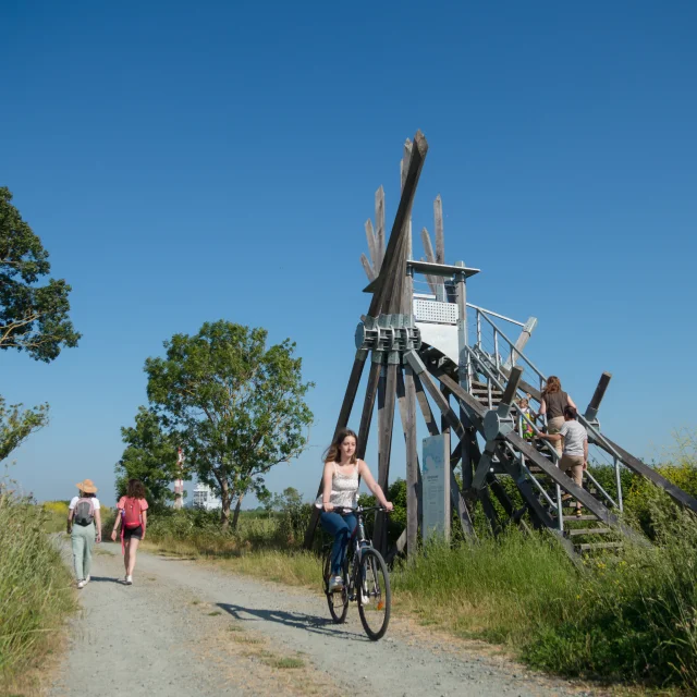 2023 Semaphore De Langle Oeuvre De Vincent Maugerpuk 16