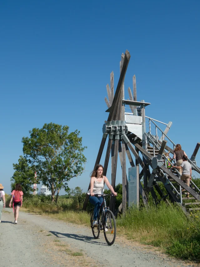 2023 Semaphore De Langle Oeuvre De Vincent Maugerpuk 16