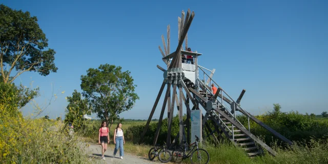 2023 Semaphore De Langle Oeuvre De Vincent Maugerpuk 6