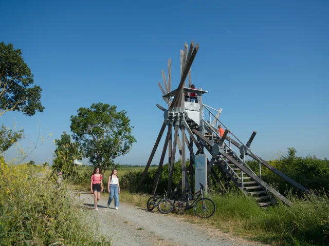 2023 Semaphore De Langle Oeuvre De Vincent Maugerpuk 6