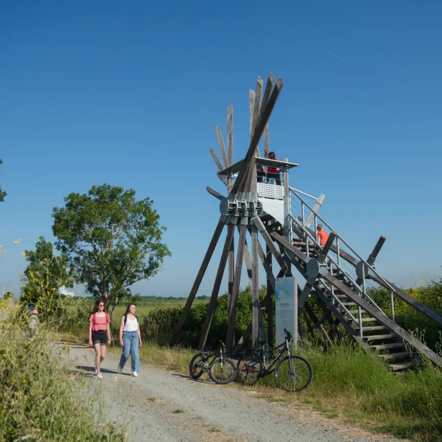 2023 Semaphore De Langle Oeuvre De Vincent Maugerpuk 6