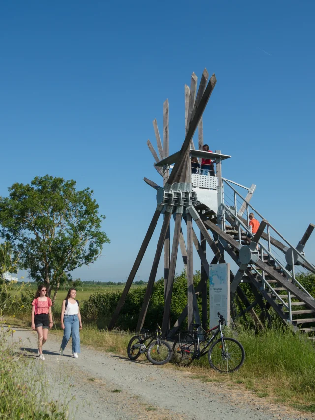 2023 Semaphore De Langle Oeuvre De Vincent Maugerpuk 6