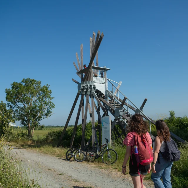 2023 Semaphore De Langle Oeuvre De Vincent Maugerpuk 8