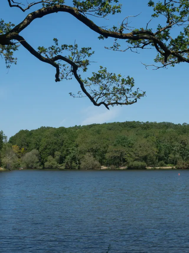 2023 Pole De Loisirs Du Lac Savenaypuk 41