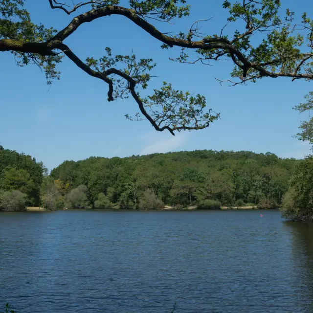 2023 Pole De Loisirs Du Lac Savenaypuk 41