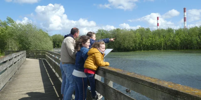 une famille accoudée à un ponton de bois. Un jeune garçon a le doigt pointé pour montrer un élément du paysage.