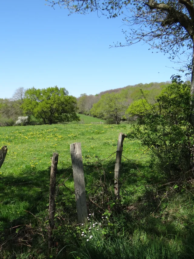 2015 Sentier De La Coulee Du Goust Estuaire Et Sillon Tourisme 1