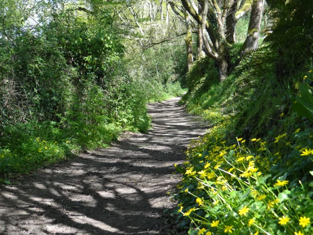 2015 Sentier De La Coulee Du Goust Estuaire Et Sillon Tourisme 6