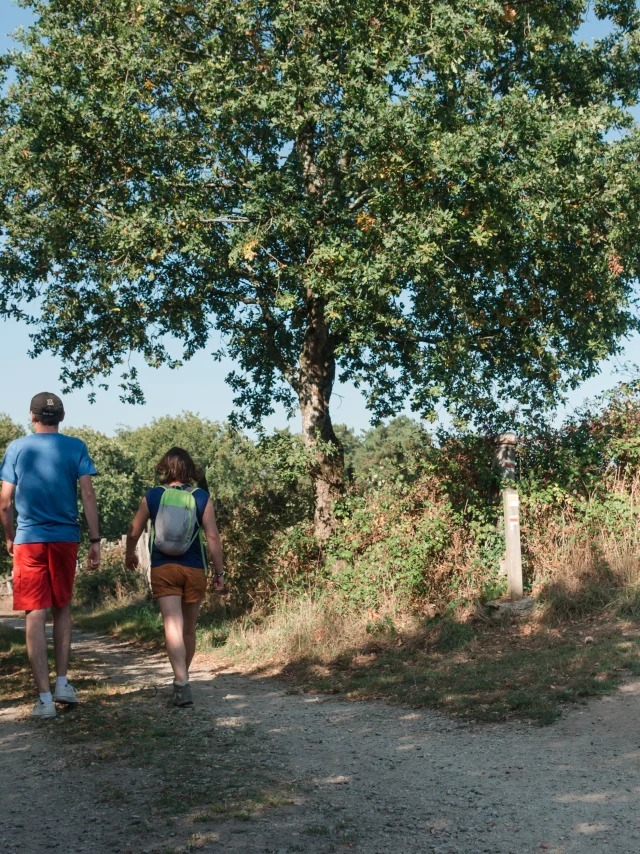 2021 Rando Sentier Du Belvedere Savenay1@puk 37