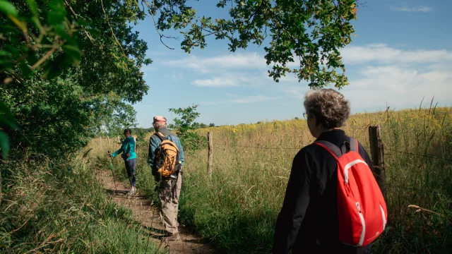 2022 06 Sentier Des 4 Vallees La Chapelle Launay Puk 20