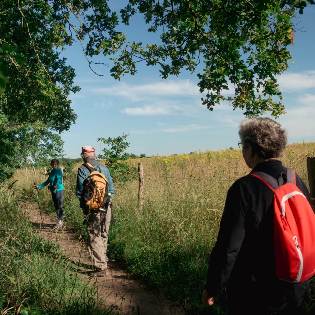 2022 06 Sentier Des 4 Vallees La Chapelle Launay Puk 20