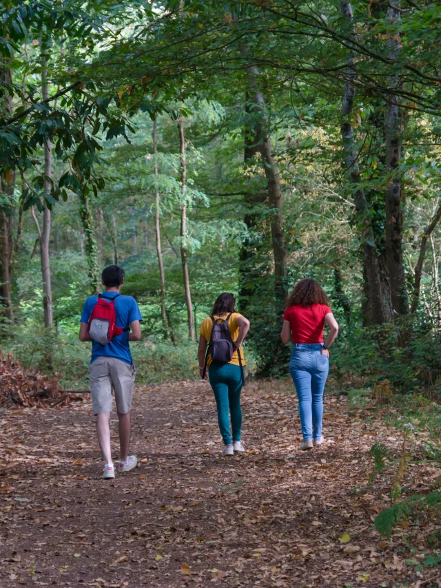 2022 Sentier De Lescurays A Boitouze Prinquiau Puk 32