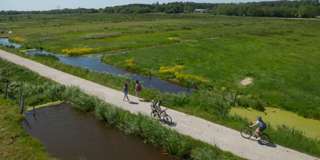 2023 Nid Observatoire Blanc Marais De Loirepuk 52