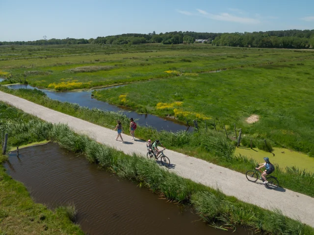 2023 Nid Observatoire Blanc Marais De Loirepuk 52