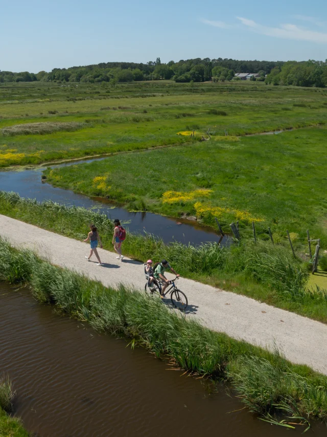 2023 Nid Observatoire Blanc Marais De Loirepuk 52