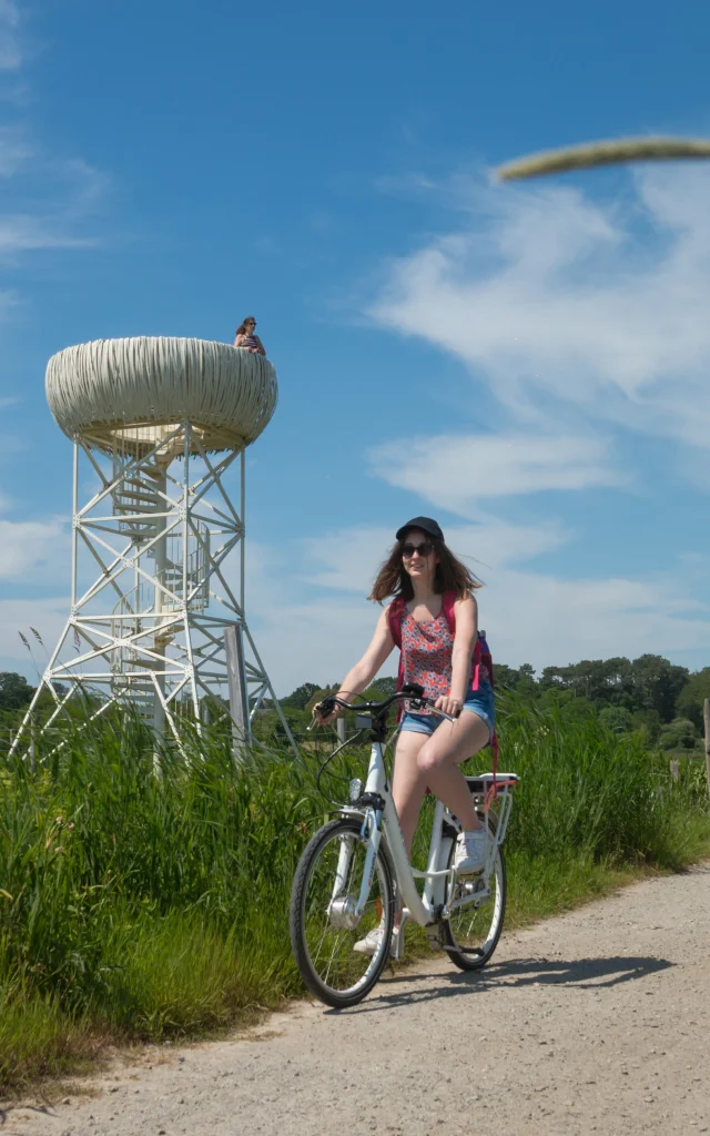 2023 Nid Observatoire Blanc Marais De Loirepuk 59