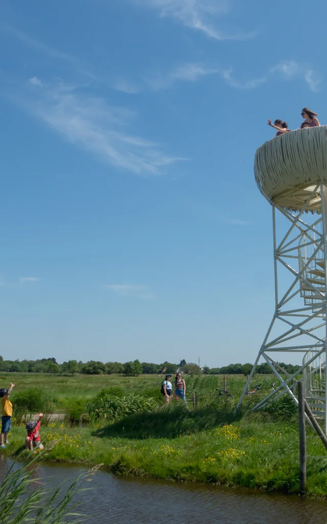 2023 Nid Observatoire Blanc Marais De Loirepuk 78