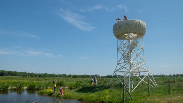 2023 Nid Observatoire Blanc Marais De Loirepuk 78