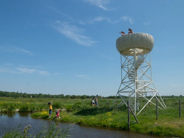 2023 Nid Observatoire Blanc Marais De Loirepuk 78