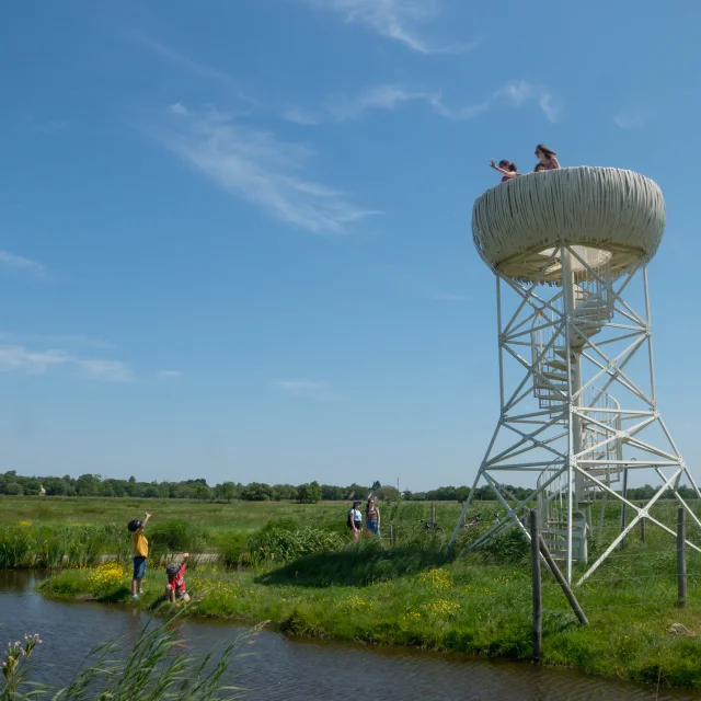 2023 Nid Observatoire Blanc Marais De Loirepuk 78