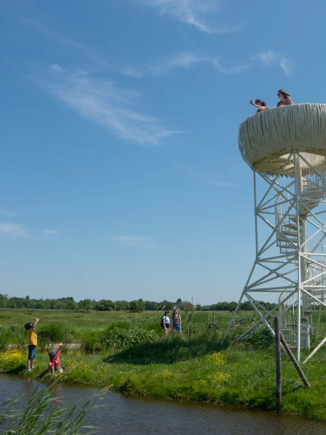 2023 Nid Observatoire Blanc Marais De Loirepuk 78