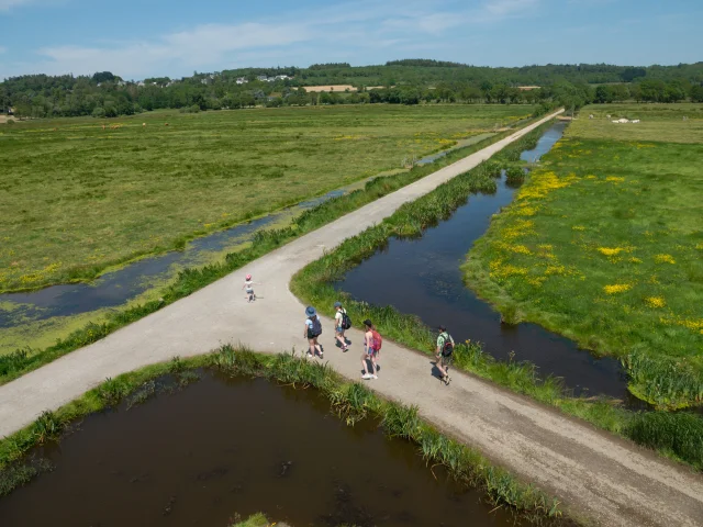 2023 Nid Observatoire Blanc Marais De Loirepuk 87