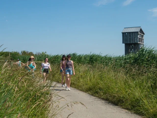 2023 Observatoire Kawamata Oeuvre Du Parcours Estuaire Nantes Saint Nazairepuk 3