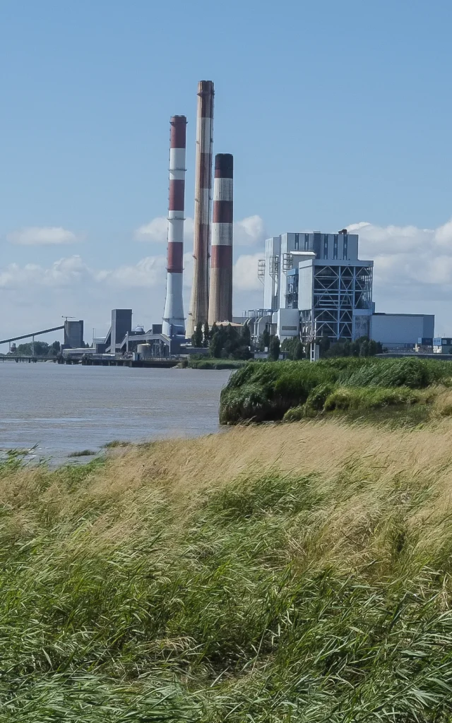 Marais Nord Loire 19