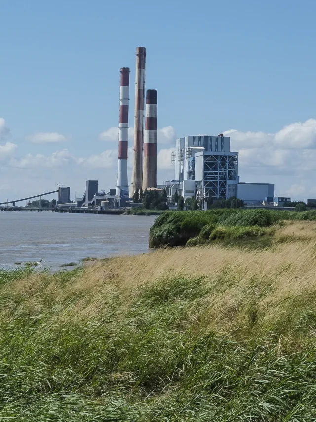 Marais Nord Loire 19