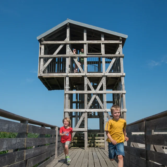 2023 Observatoire Kawamata Oeuvre Du Parcours Estuaire Nantes Saint Nazairepuk 38