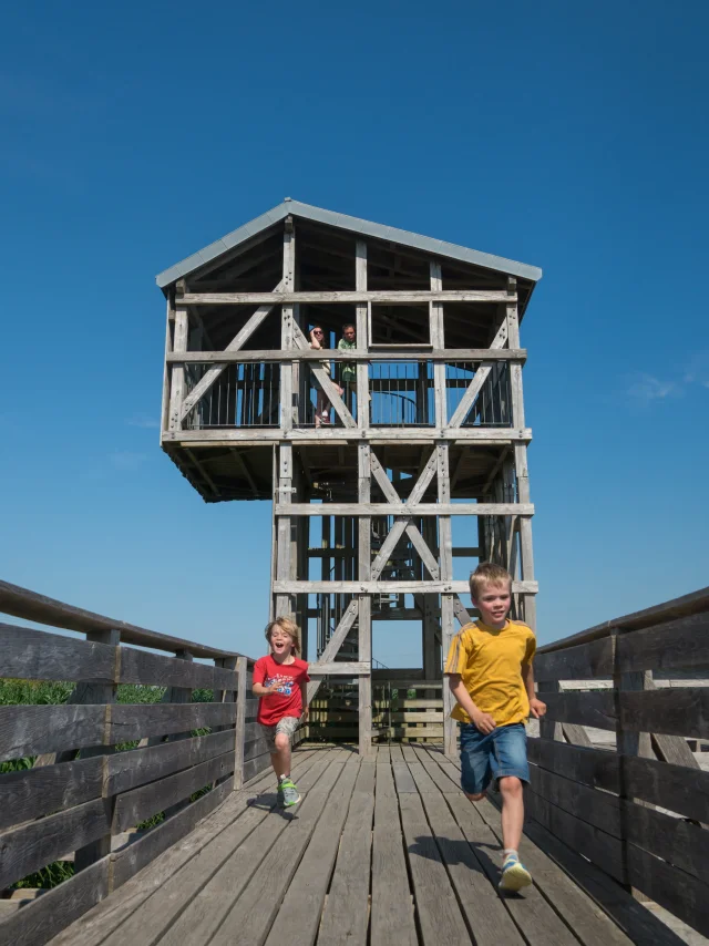 2023 Observatoire Kawamata Oeuvre Du Parcours Estuaire Nantes Saint Nazairepuk 38