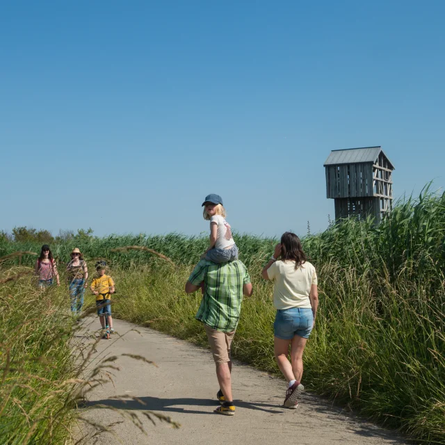 2023 Observatoire Kawamata Oeuvre Du Parcours Estuaire Nantes Saint Nazairepuk 43