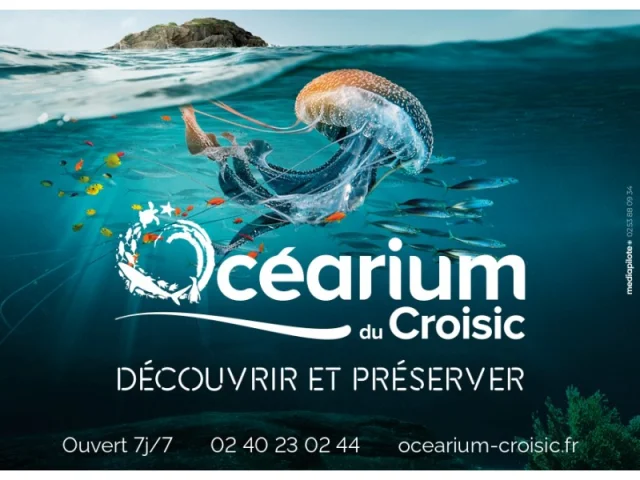 Ocearium Du Croisic Ebillet