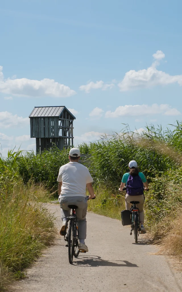 2024 Velo Et Lavau Sur Loire Puk 32