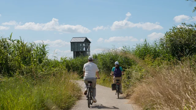 2024 Velo Et Lavau Sur Loire Puk 32