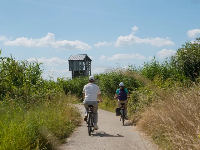 2024 Velo Et Lavau Sur Loire Puk 32