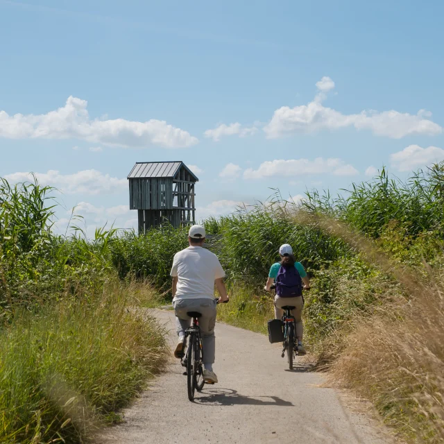 2024 Velo Et Lavau Sur Loire Puk 32