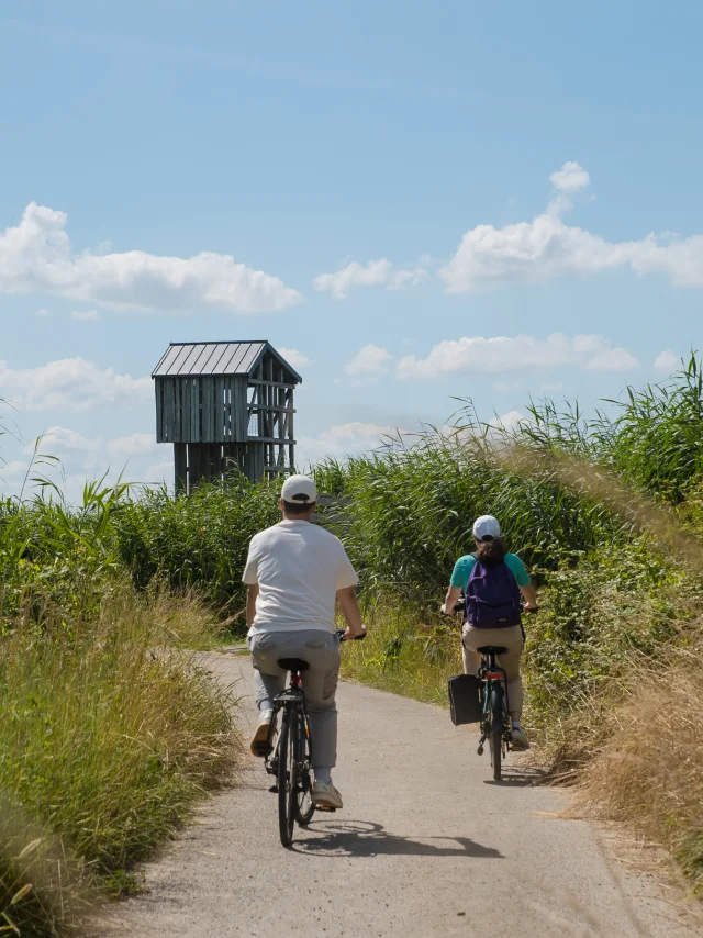 2024 Velo Et Lavau Sur Loire Puk 32