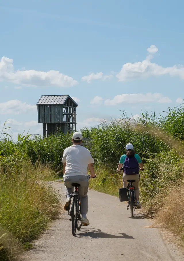 2024 Velo Et Lavau Sur Loire Puk 32