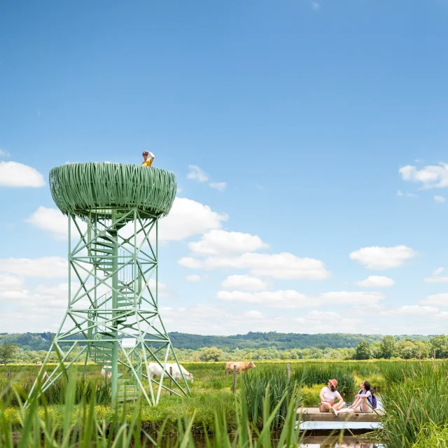 2024 Nid Observatoire Vert Puk 19 Page De Couv