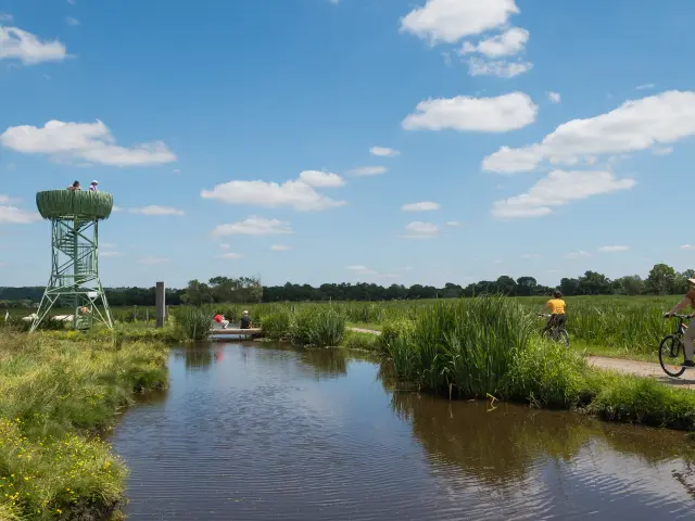 2024 Nid Observatoire Vert Puk 30